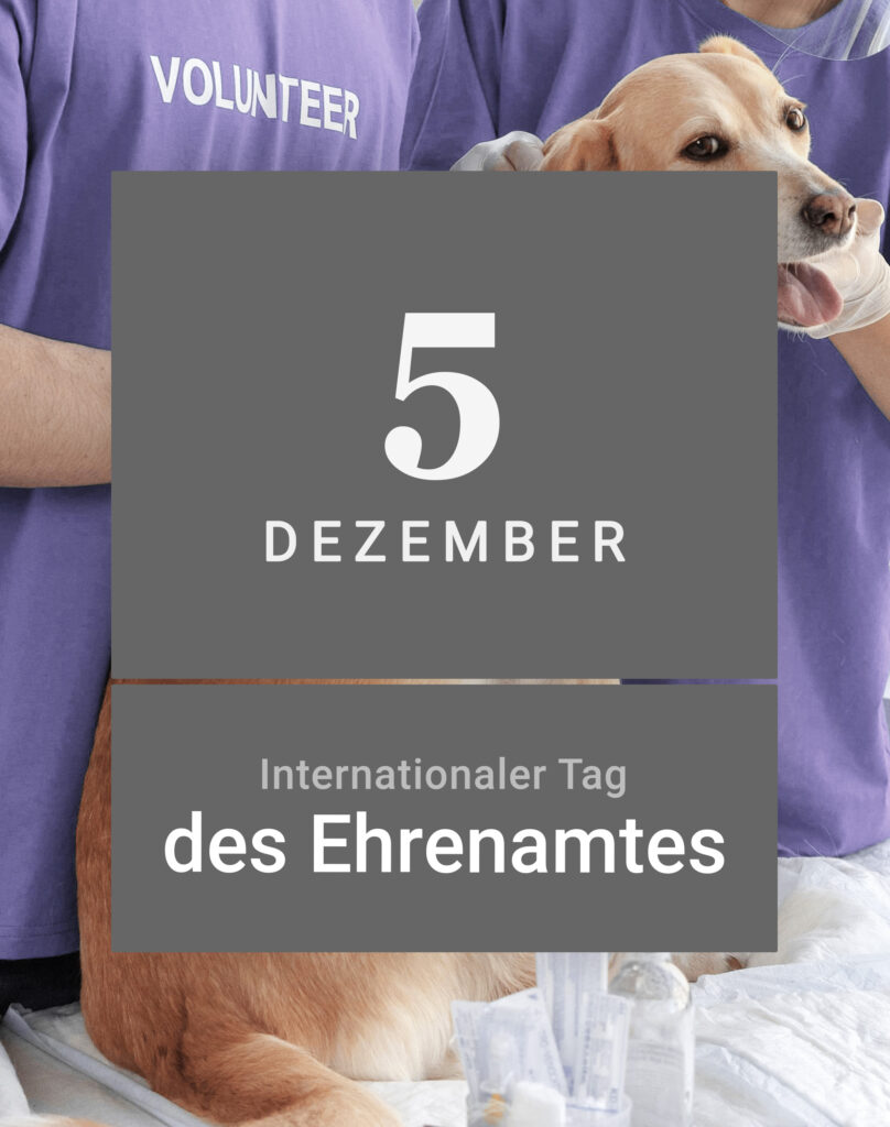 Internationaler Tag Ehrenamt ehrenamtliche Arbeit