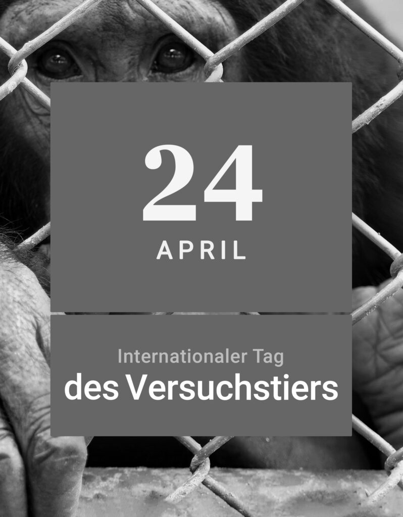 Tierschutz Tierversuche Versuchstiere
