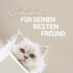 Tierversicherung
