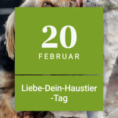 Liebe dein Haustier