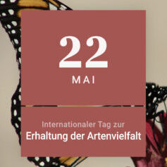 Tierschutz Umweltschutz artenschutz