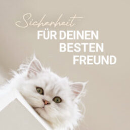 Tierversicherung